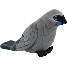 Friendly and approachable plush friendsFriendly and approachable plush friendsKokako 15cm Bird With Sound Friendly and approachable plush friendsFriendly and approachable plush friendsKokako 15cm Bird With Sound