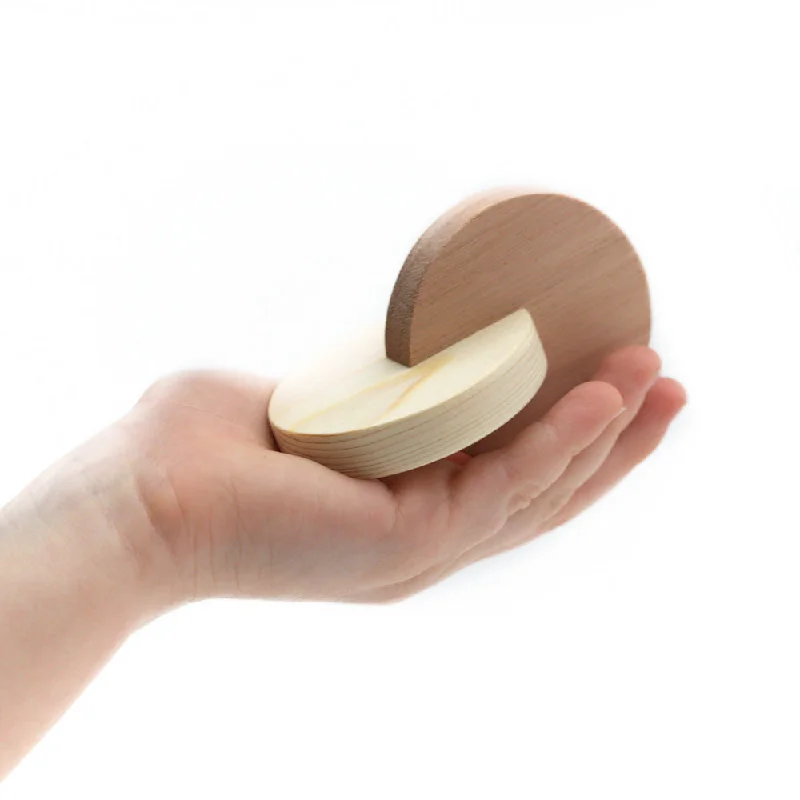 vibrant and colorful wooden toys for toddlers                   DUAL DISCS
