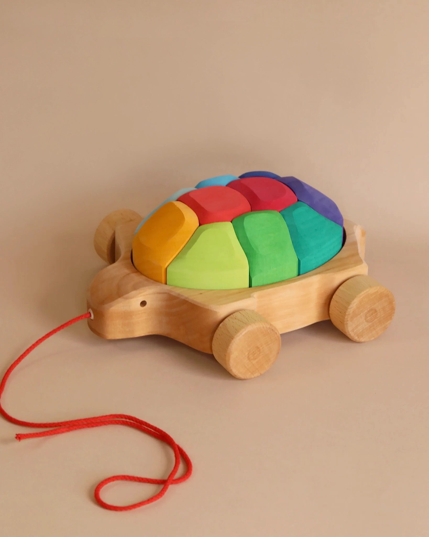 child-safe wooden toys                 Grimm's Rainbow Turtle Pull-Toy and Building Blocks